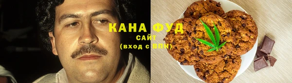 хмурый Алзамай