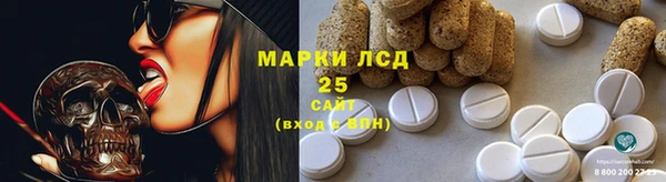 хмурый Алзамай