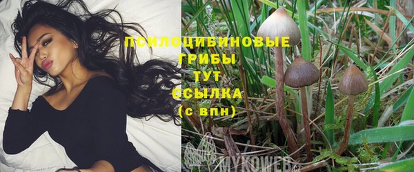 хмурый Алзамай