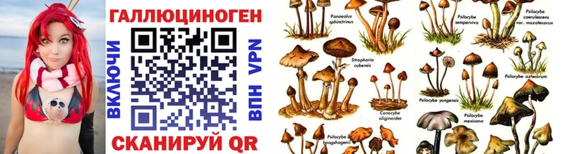 Галлюциногенные грибы Psilocybine cubensis маркетплейс какой сайт Полярные Зори